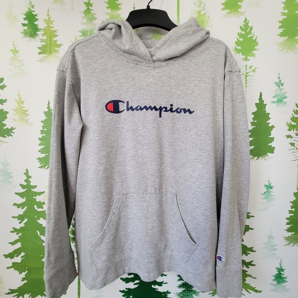 Champion Middleweight Pullover Hoodie.
